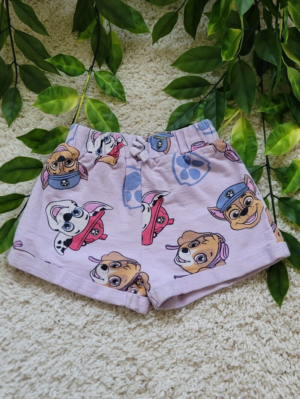 Toddler Girl Paw Patrol Shorts (2T)